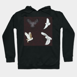 Soaring Owls Black Hoodie